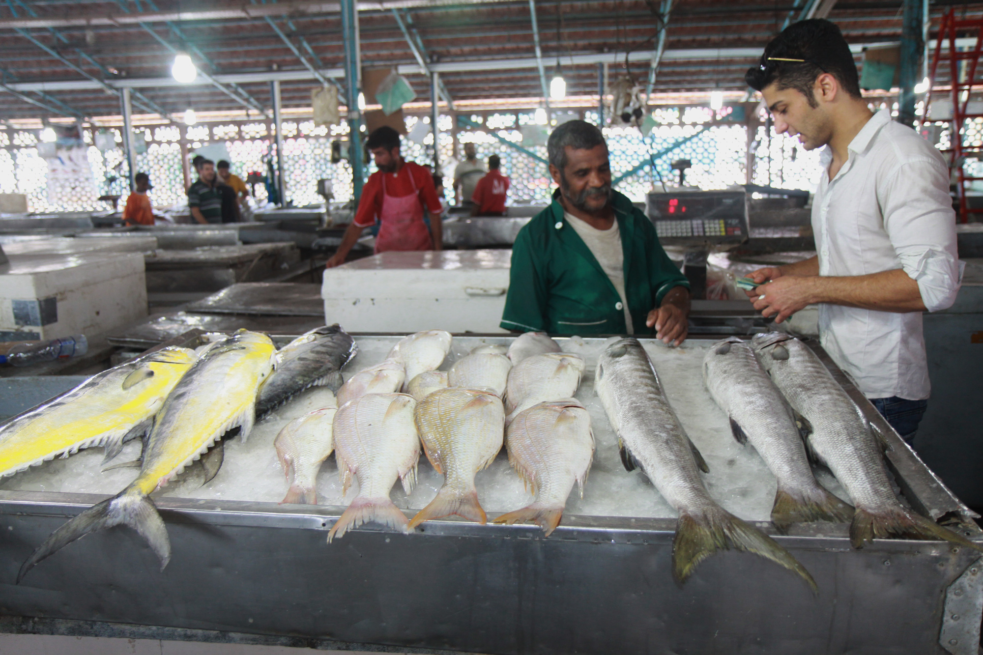 بازار ماهی بندرعباس همچنان در انتظار افتتاح بازار نوین