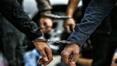 یکی از عوامل شهادت رئیس پلیس مبارزه با مواد مخدر رودان دستگیر شد