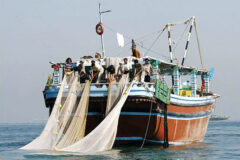 افزایش بیش از ۲۰ درصدی صید ماهیان تُن در آب‌های دور
