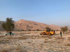 رفع تصرف ۲۰ هکتار از اراضی ملی در شهرستان پارسیان استان هرمزگان