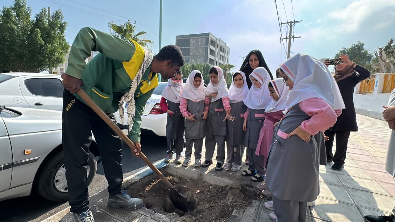 بیش از ۳۰۰۰ اصله درخت در قشم کاشته و توزیع شد
