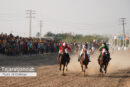 برگزاری دومین دوره کورس اسب دوانی جنوب کشور در سیریک