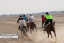 یازدهمین کورس اسب دوانی جنوب کشور برگزار شد