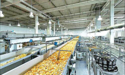۳۵۷ واحد تولیدی استان قزوین در زمینه صنایع غذایی فعالیت می کند