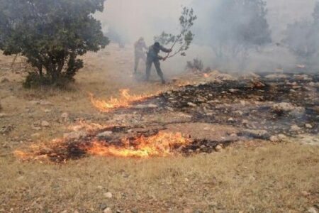 آتش سوزی در اراضی کوهستانی دهبکری بم