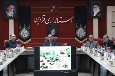 ۷ هزار و ۲۶۳ مورد بازرسی در راستای تنظیم بازار در قزوین انجام شد