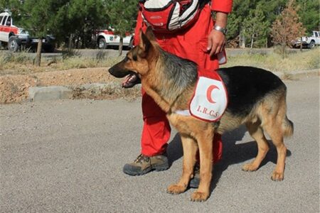 تداوم اجرای پروژه تربیت و آموزش سگ‌های جدید ردیاب هلال احمر