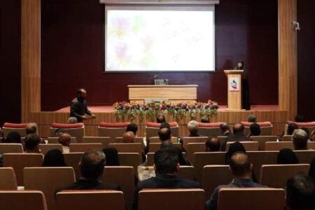 مشاوران امور ایثارگران در دستگاه‌ها بازوی کمکی بنیاد هستند