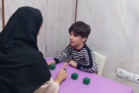 ضرورت تدوین قوانین حمایتی برای مادران دارای فرزندان اوتیسم