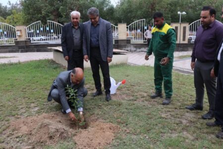 مدیرعامل و کارکنان شرکت آب و فاضلاب هرمزگان در روز درختکاری نهال کاشتند