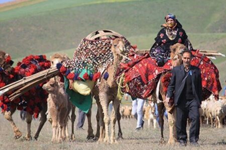 استفاده از ظرفیت عشایر جنوب در توسعه دریامحور/ تأمین برق عشایر با نیروگاه‌های خورشیدی