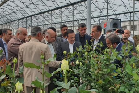 استاندار قزوین از واحد تولید گل شاخه بریده کاسپین گل پارسیان در آبیک بازدید کرد