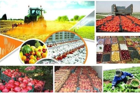 امنیت غذایی یکی از مهمترین ارکان توسعه کشور است