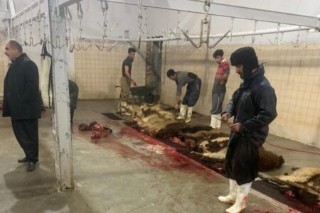 کشتارگاه‌های سنتی بوشهر تعطیل می‌شوند