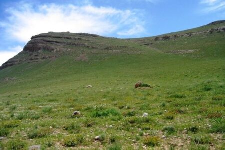 اجرای عملیات بیولوژیک و بیومکانیک در ۱۷۰ هکتار از مراتع اراک و تفرش / اهمیت بسزای پوشش گیاهی مراتع در مقابله با گردوغبار و بیابان‌زایی