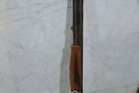 دستگیری شکارچی غیرمجاز و کشف سلاح قاچاق در الموت غربی