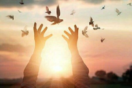 رهایی زندانی محکوم به قصاص پس از ۲۰ سال در هرمزگان