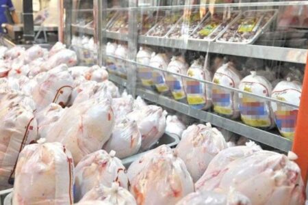 توزیع نامحدود مرغ منجمد با نرخ مصوب در خراسان‌شمالی آغاز شد