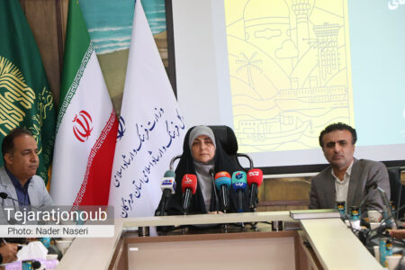 برگزاری ۲۳۹ برنامه دهه کرامت در هرمزگان / حضور کاروان‌های رضوی در سراسر استان
