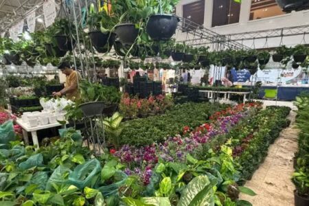 قزوین میزبان نخستین نمایشگاه سال؛ عطر گل‌ها و طعم سوغات در فضای بهاری نمایشگاه