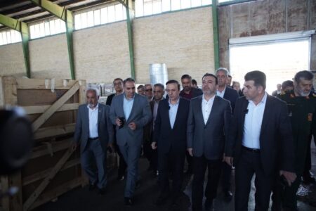 بازدید معاون وزیر کشور و استاندار از گمرک قزوین/ تاکید بر تسهیل ترخیص نهاده‌های تولید