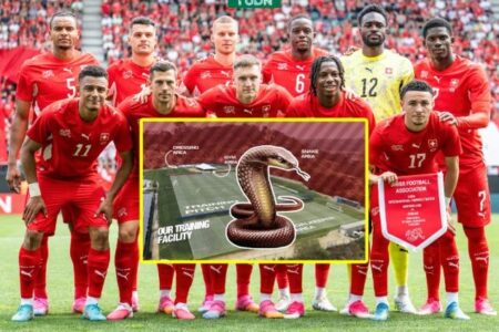 مارهای سمی؛ چالش تازه میزبان آمریکایی جام جهانی
