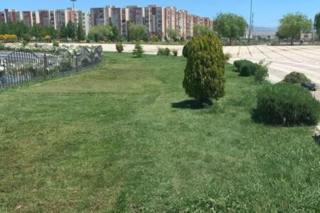 تعامل مدیریت شهری برای تقویت سرانه فضای سبز محمدیه تقویت شود