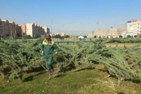 تعمیر و بهسازی چاه آب منطقه ۶ محمدیه در راستای پایداری فضای سبز شهری