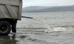 ۶۰۰ هزار قطعه بچه ماهی در رودخانه نوشهر رهاسازی شد