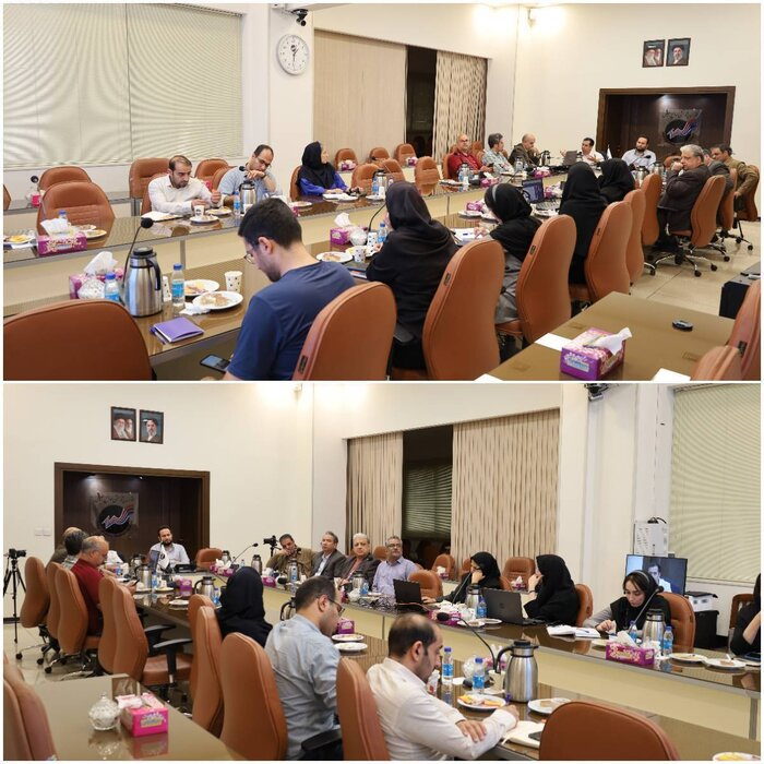 زنگ خطر فرونشست برای ۲۵۴ پهنه کشور/ دشت بهرمان کرمان رکورددار نشست زمین