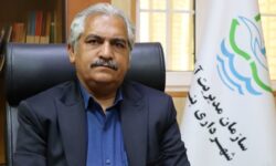 در پاسخ به ایثار خونین شهدا؛ ارائه تمامی خدمات رایگان به خانواده‌های شهدا در آرامستان بندرعباس