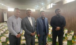 حمایت از خانواده های زندانیان هرمزگان با درآمد حاصل از اجرای طرح تپش