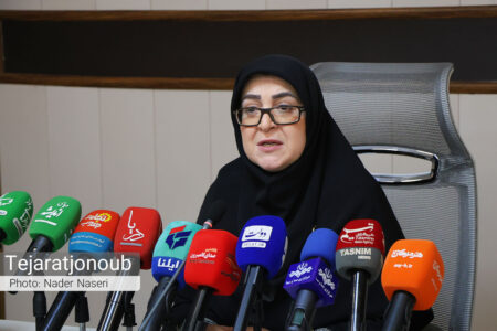 سخنگوی دولت: موضوع مشکلات ساکنان ابوموسی در حال پیگیری است؛ رسانهها در طرح مطالبات و مدیریت مصرف انرژی کمک کنند +فیلم