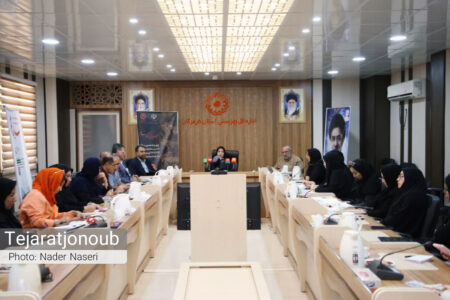 نشست خبری مدیرکل بهزیستی هرمزگان به مناسبت هفته بهزیستی
