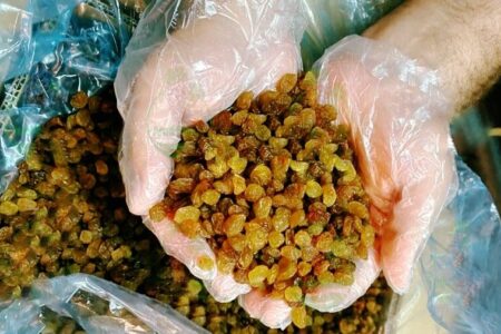 صادرات ۲۰ هزار تن کشمش از بناب