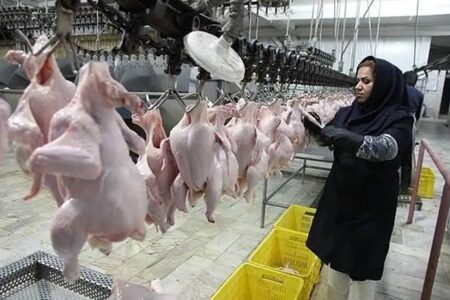 تأمین انرژی، نوسانات قوانین صادراتی و هزینه‌های ناشی از ارتقاء استانداردها؛ چالش‌های کشتارگاه‌های استان مرکزی