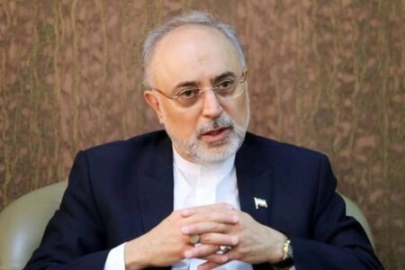 اختلاف با دولت‌ها نباید به بی‌احترامی به نمادهای ملی آنها منجر شود/ بی‌حرمتی به پرچم کشوری که آن را به رسمیت می‌شناسیم، خردمندانه نیست