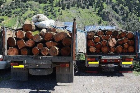 کشف ۵۰ تن چوب قاچاق و تشکیل ۱۹ پرونده قضایی در استان مرکزی